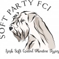 Soft Party FCI- terier pszeniczny